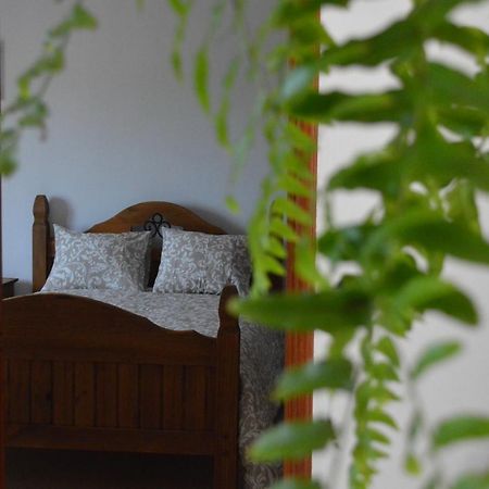 Casa Las Pardelas Icod De Los Vinos Zewnętrze zdjęcie